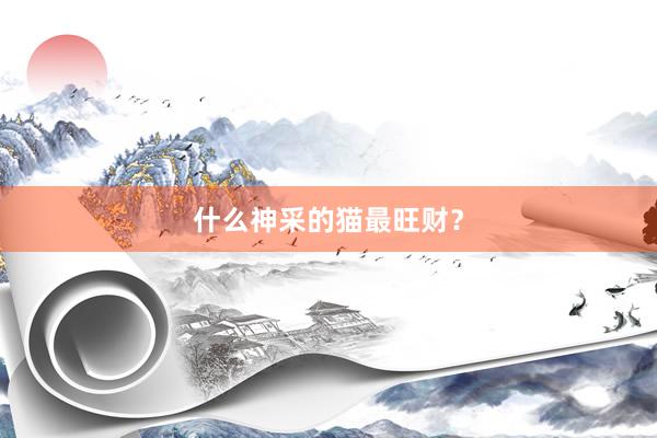 什么神采的猫最旺财？