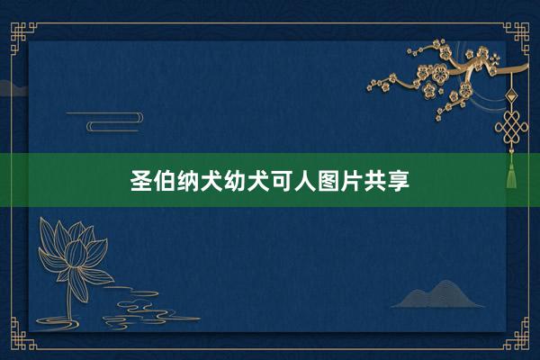 圣伯纳犬幼犬可人图片共享