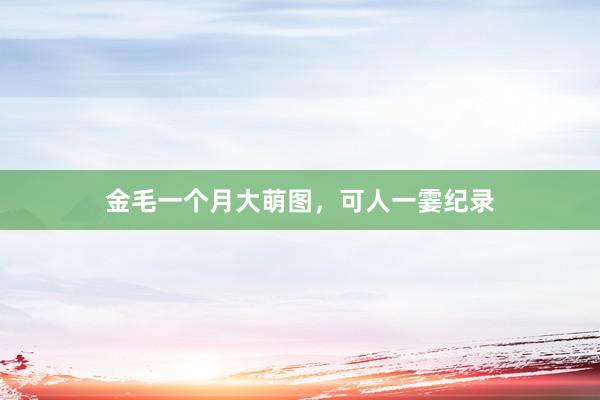 金毛一个月大萌图，可人一霎纪录