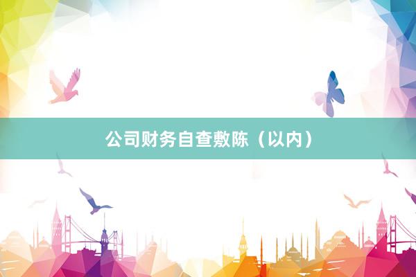 公司财务自查敷陈(以内)